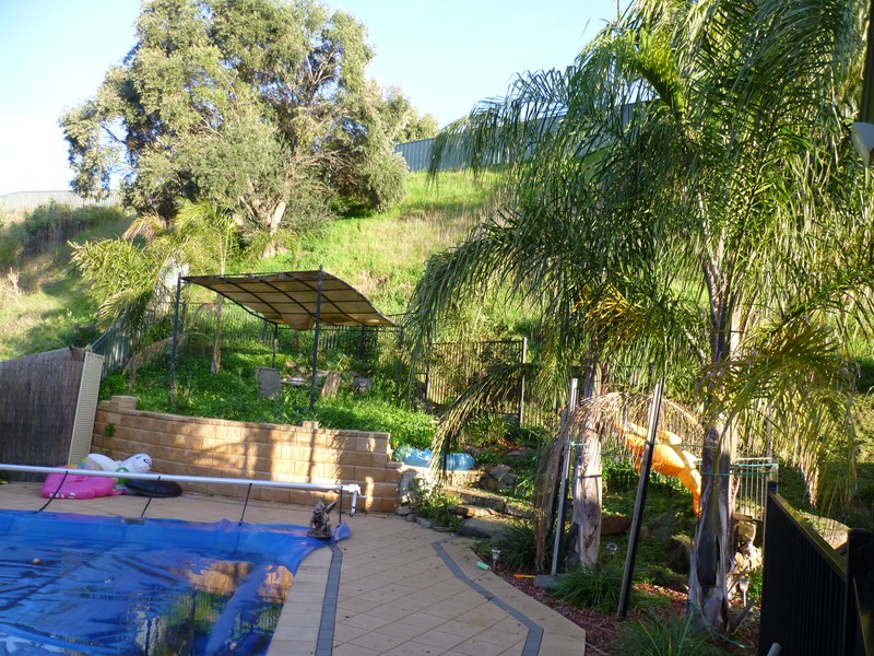 "A New Beginning!!!!!!!!!!"